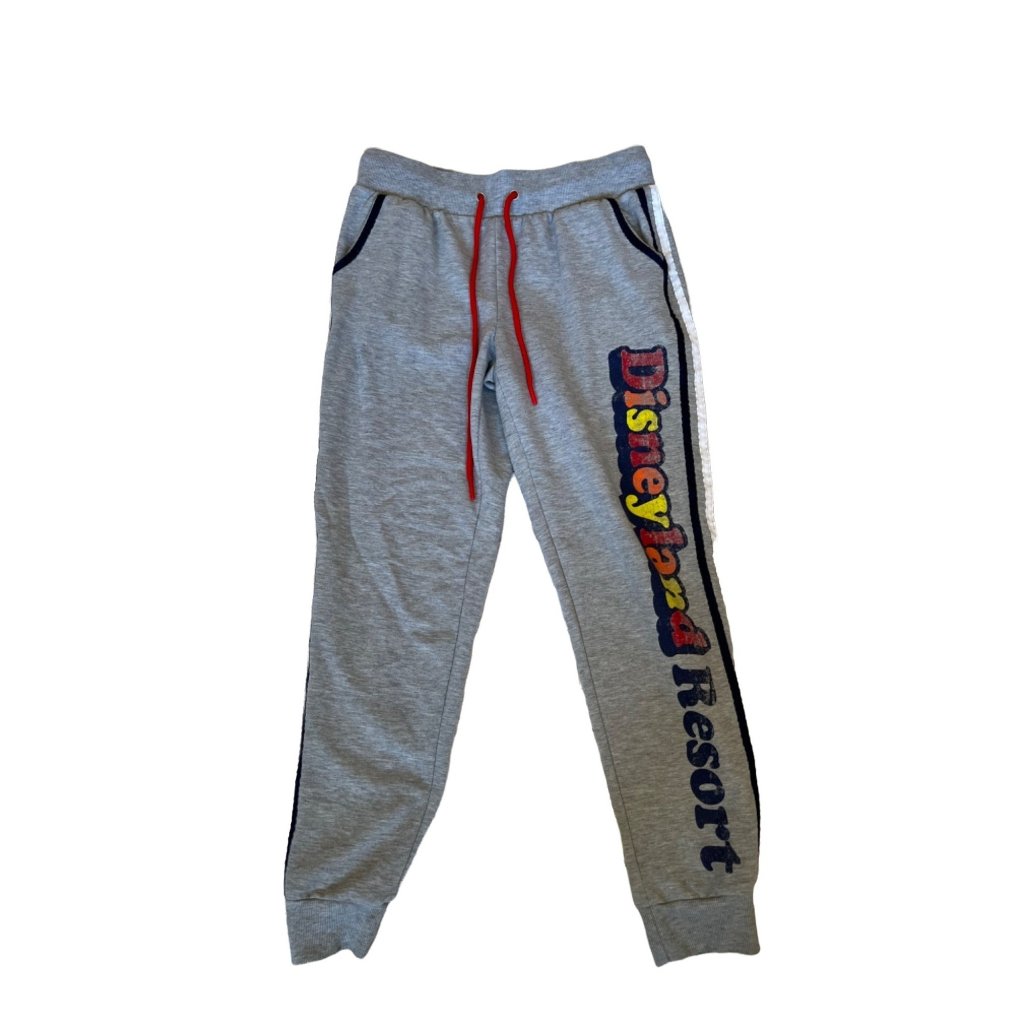 Disney Parks Disneyland Resort Sweatpants Womens Size Small Gray Drawstring Wome